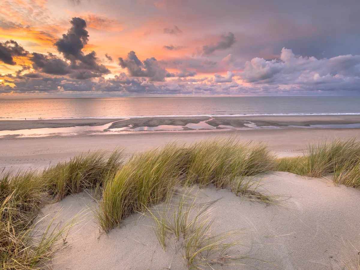 North Sea beach and dunes on the Dutch coast — beach events and team building
