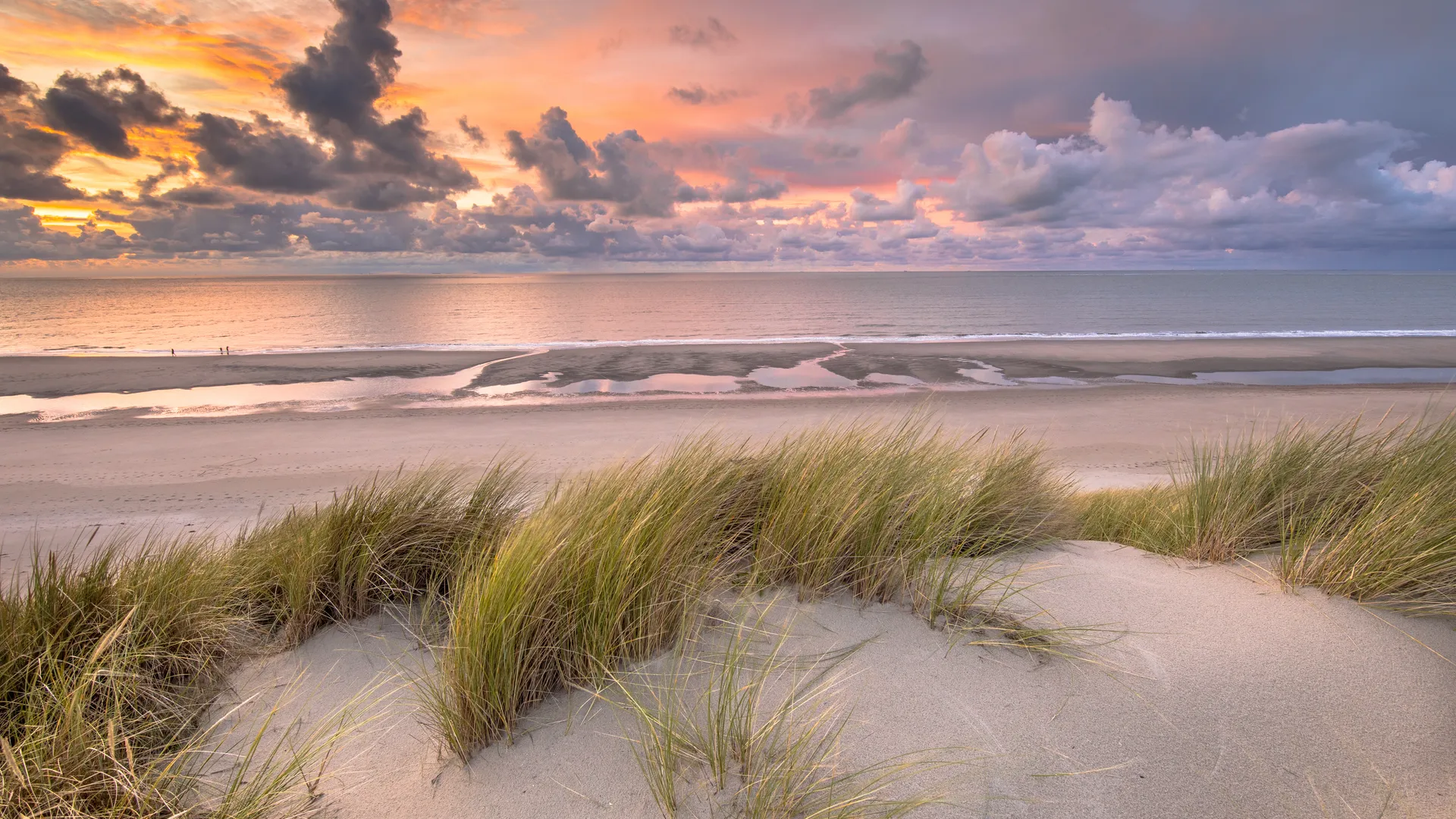Dutch Coast